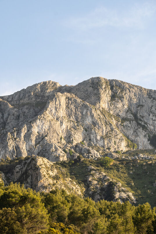 Villa Finca Magnifica